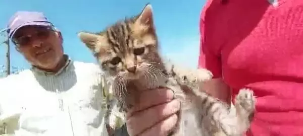Son dakika: İTFAİYECİLER KURTARDIKLARI KEDİYİ SAHİPLENDİ Son dakika: İTFAİYECİLER KURTARDIKLARI KEDİYİ SAHİPLENDİ