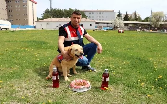 Jandarmanın gözbebeği 'Hisar' emekli oldu Jandarmanın gözbebeği 'Hisar' emekli oldu