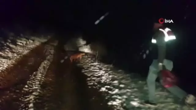 Jandarmanın gözbebeği 'Hisar' emekli oldu Jandarmanın gözbebeği 'Hisar' emekli oldu