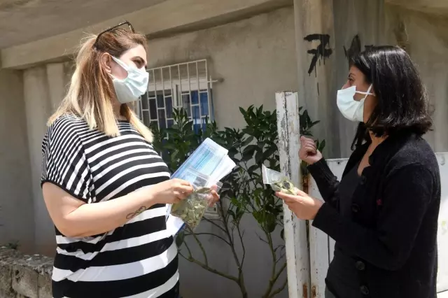 Kadınlar, evde defne yaprağı ayıklayıp para kazanacak Kadınlar, evde defne yaprağı ayıklayıp para kazanacak