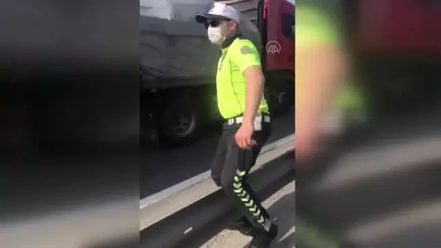 Kara yolunda karşıdan karşıya geçmeye çalışan kaplumbağaya polis yardım etti Kara yolunda karşıdan karşıya geçmeye çalışan kaplumbağaya polis yardım etti