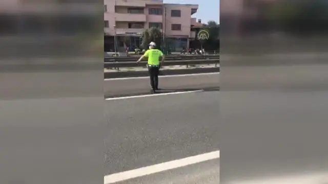 Kara yolunda karşıdan karşıya geçmeye çalışan kaplumbağaya polis yardım etti Kara yolunda karşıdan karşıya geçmeye çalışan kaplumbağaya polis yardım etti