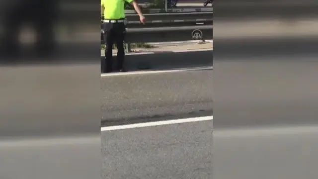Kara yolunda karşıdan karşıya geçmeye çalışan kaplumbağaya polis yardım etti Kara yolunda karşıdan karşıya geçmeye çalışan kaplumbağaya polis yardım etti