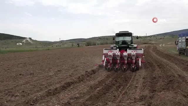 Karabük'te atıl durumdaki tarım arazileri üretime kazandırılıyor Karabük'te atıl durumdaki tarım arazileri üretime kazandırılıyor