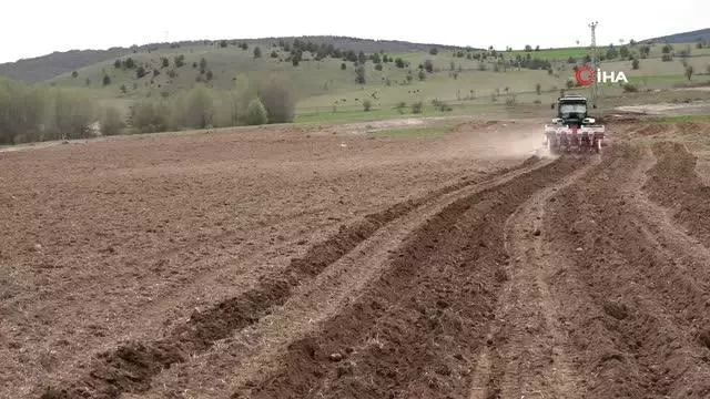 Karabük'te atıl durumdaki tarım arazileri üretime kazandırılıyor Karabük'te atıl durumdaki tarım arazileri üretime kazandırılıyor