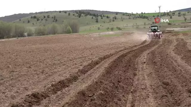 Karabük'te atıl durumdaki tarım arazileri üretime kazandırılıyor Karabük'te atıl durumdaki tarım arazileri üretime kazandırılıyor