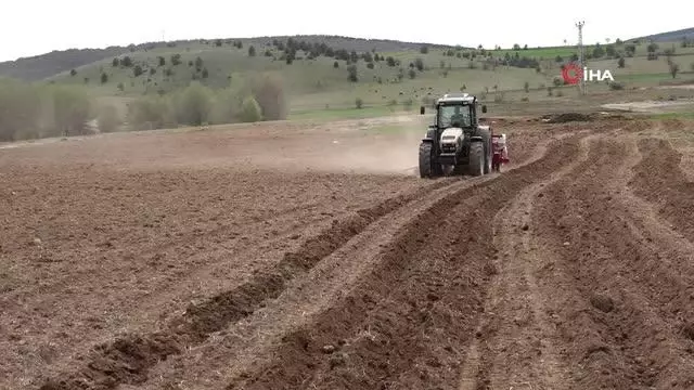 Karabük'te atıl durumdaki tarım arazileri üretime kazandırılıyor Karabük'te atıl durumdaki tarım arazileri üretime kazandırılıyor