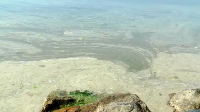 Kartal'da başlayan deniz salyası istilası Pendik sahillerine kadar geldi Kartal'da başlayan deniz salyası istilası Pendik sahillerine kadar geldi