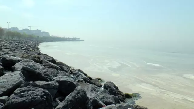 Kartal'da başlayan deniz salyası istilası Pendik sahillerine kadar geldi Kartal'da başlayan deniz salyası istilası Pendik sahillerine kadar geldi