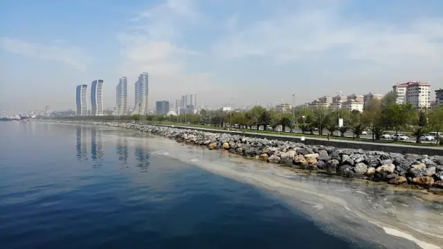 Kartal'da başlayan deniz salyası istilası Pendik sahillerine kadar geldi Kartal'da başlayan deniz salyası istilası Pendik sahillerine kadar geldi