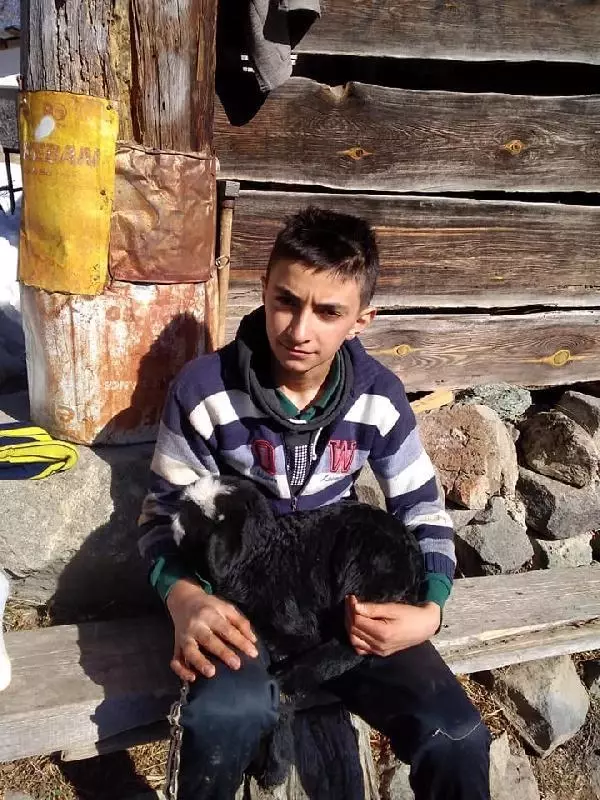 Son dakika gündem: KENENİN ISIRDIĞI EMRE SELİM, YAŞAM MÜCADELESİ VERİYOR Son dakika gündem: KENENİN ISIRDIĞI EMRE SELİM, YAŞAM MÜCADELESİ VERİYOR