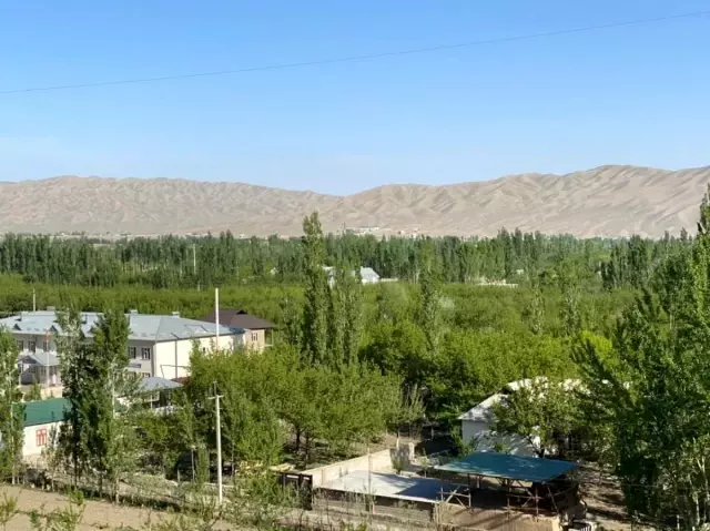 Kırgızistan ile Tacikistan sınırındaki taşlı kavga son yılların en büyük çatışmasına döndü: En az 13 ölü, onlarca yaralı var Kırgızistan ile Tacikistan sınırındaki taşlı kavga son yılların en büyük çatışmasına döndü: En az 13 ölü, onlarca yaralı var