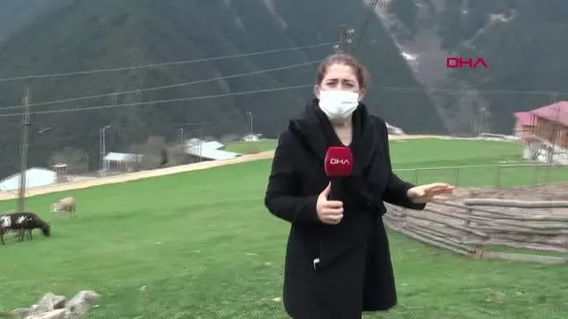 Son dakika haberi | Koronavirüs vakası görülmeyen yaylada yaşıyorlar Son dakika haberi | Koronavirüs vakası görülmeyen yaylada yaşıyorlar