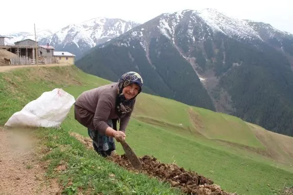 Son dakika haberi | Koronavirüs vakası görülmeyen yaylada yaşıyorlar Son dakika haberi | Koronavirüs vakası görülmeyen yaylada yaşıyorlar