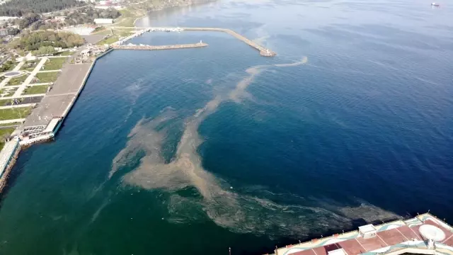 Marmara'da endişelendiren görüntü: Deniz salyası Marmara'yı turuncuya boyadı Marmara'da endişelendiren görüntü: Deniz salyası Marmara'yı turuncuya boyadı