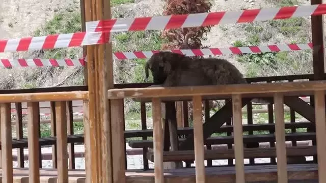 Mudurnu'da 'tam kapanma' kısıtlamasına uyuluyor Mudurnu'da 'tam kapanma' kısıtlamasına uyuluyor