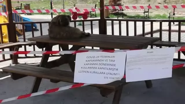 Mudurnu'da 'tam kapanma' kısıtlamasına uyuluyor Mudurnu'da 'tam kapanma' kısıtlamasına uyuluyor
