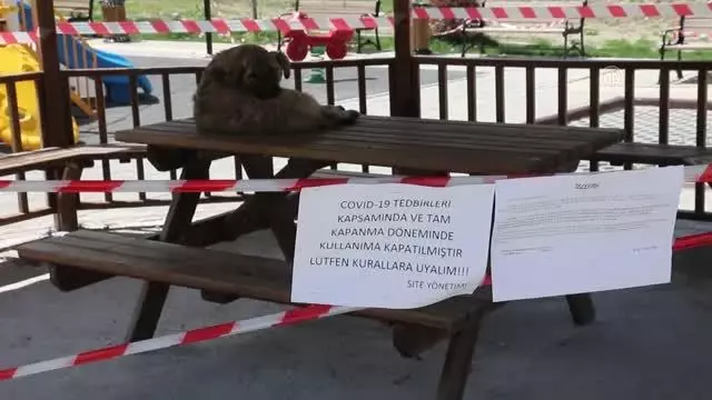 Mudurnu'da 'tam kapanma' kısıtlamasına uyuluyor Mudurnu'da 'tam kapanma' kısıtlamasına uyuluyor