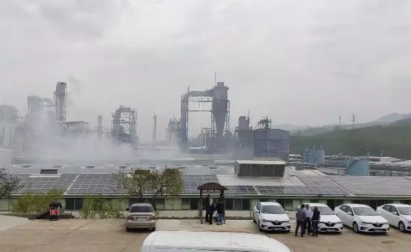 Son dakika gündem: ORDU'DA PARKE FABRİKASINDA YANGIN; 3 İŞÇİ DUMANDAN ETKİLENDİ Son dakika gündem: ORDU'DA PARKE FABRİKASINDA YANGIN; 3 İŞÇİ DUMANDAN ETKİLENDİ