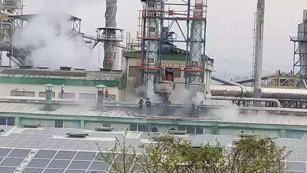 Son dakika gündem: ORDU'DA PARKE FABRİKASINDA YANGIN; 3 İŞÇİ DUMANDAN ETKİLENDİ Son dakika gündem: ORDU'DA PARKE FABRİKASINDA YANGIN; 3 İŞÇİ DUMANDAN ETKİLENDİ