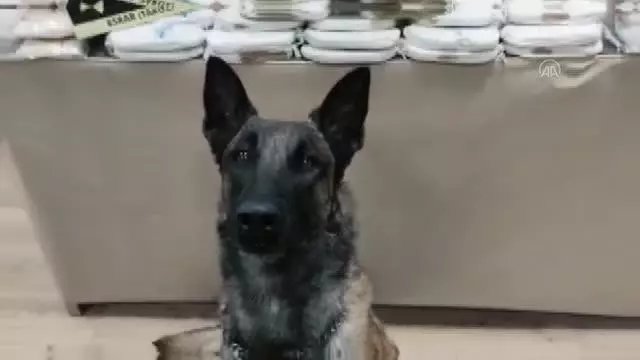 Otomobilde 5 kilogram esrar ile 149 bin uyuşturucu hap ele geçirildi Otomobilde 5 kilogram esrar ile 149 bin uyuşturucu hap ele geçirildi