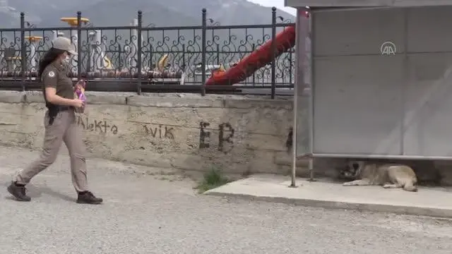 Mersin'de polisler tam kapanmada sokak hayvanlarını besledi Mersin'de polisler tam kapanmada sokak hayvanlarını besledi