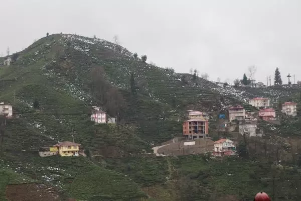 'Rize mimarisi' ev geleneği yeniden canlanacak 'Rize mimarisi' ev geleneği yeniden canlanacak
