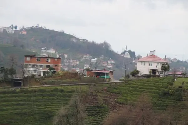 'Rize mimarisi' ev geleneği yeniden canlanacak 'Rize mimarisi' ev geleneği yeniden canlanacak