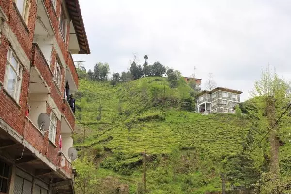 'Rize mimarisi' ev geleneği yeniden canlanacak 'Rize mimarisi' ev geleneği yeniden canlanacak