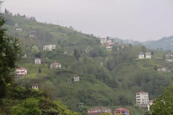 'Rize mimarisi' ev geleneği yeniden canlanacak 'Rize mimarisi' ev geleneği yeniden canlanacak