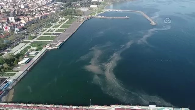 Sahilde 'deniz salyası' nedeniyle suda beyaz tabaka oluştu Sahilde 'deniz salyası' nedeniyle suda beyaz tabaka oluştu