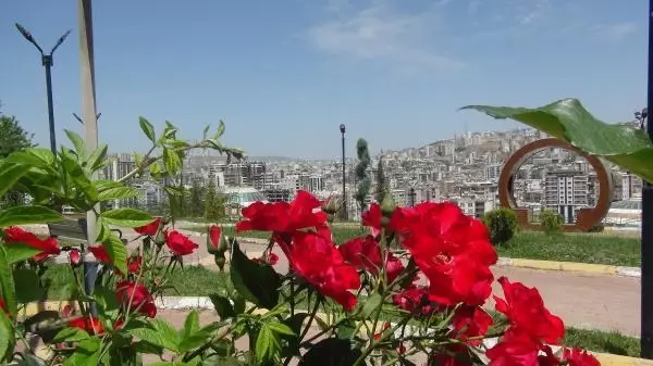 Şanlıurfa'da cadde ve sokaklarda sessizlik hakim