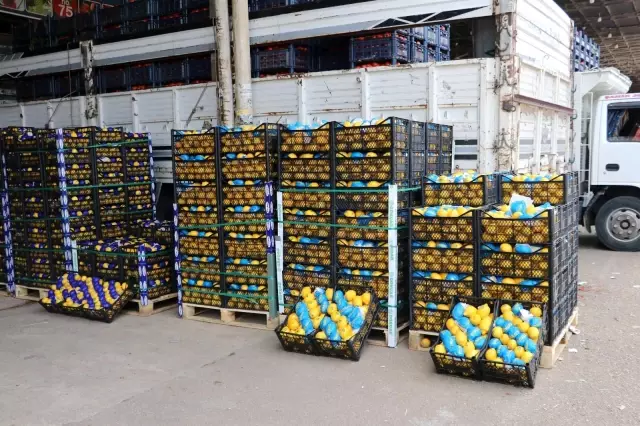Semt pazarları yüzde 50 kapasiteyle açılsın önerisi Semt pazarları yüzde 50 kapasiteyle açılsın önerisi