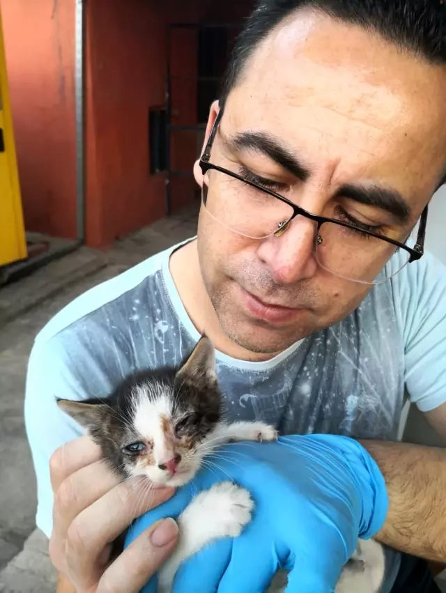 Sokakta kalan yavru kedilere emniyet müdürü sahip çıktı Sokakta kalan yavru kedilere emniyet müdürü sahip çıktı