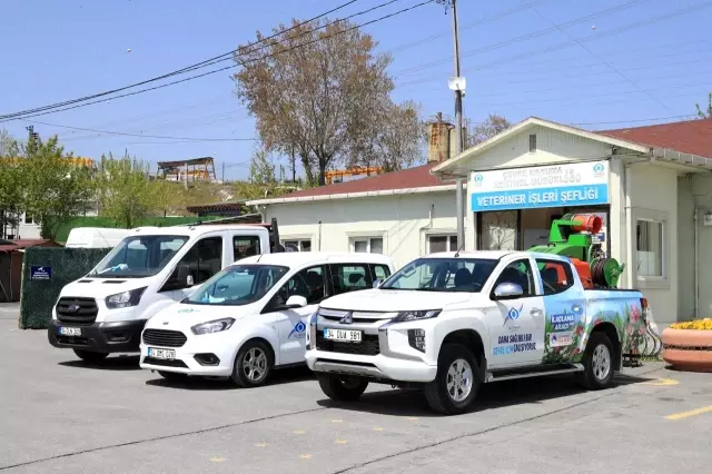 Sultangazi'de sivrisineksiz yaz için ilaçlamalar başladı Sultangazi'de sivrisineksiz yaz için ilaçlamalar başladı