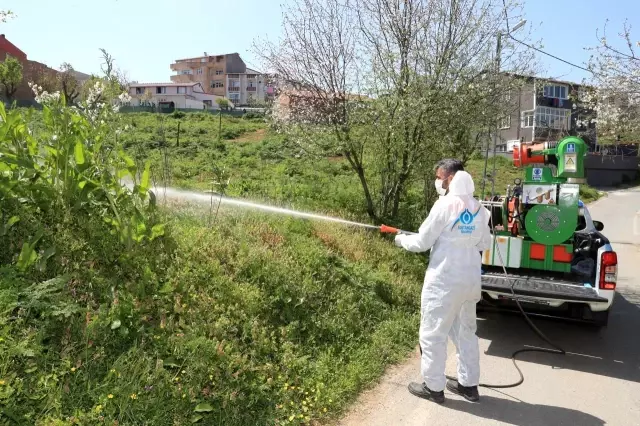 Sultangazi'de sivrisineksiz yaz için ilaçlamalar başladı Sultangazi'de sivrisineksiz yaz için ilaçlamalar başladı