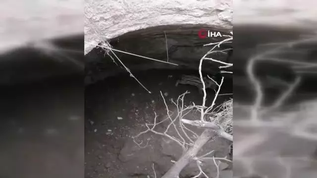 Tahıl kuyusunda mahsur kalan yaban domuzu kurtarıldı Tahıl kuyusunda mahsur kalan yaban domuzu kurtarıldı