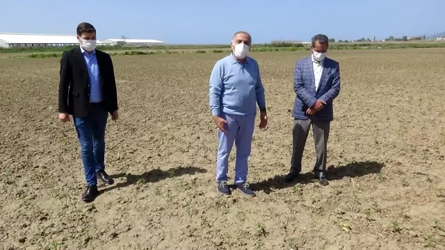 BALIKESİR - Çiftçiye yüzde 50 hibe ile 400 bin fide dağıtıldı BALIKESİR - Çiftçiye yüzde 50 hibe ile 400 bin fide dağıtıldı