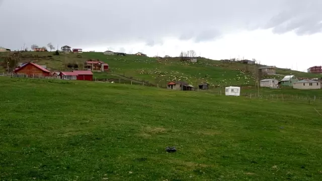 Tam kapanmada yaylalara ilgi yok Tam kapanmada yaylalara ilgi yok