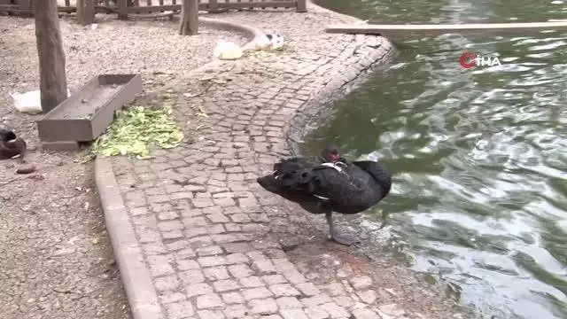 Tam kapanmanın ilk sabahında 'sessizlik' hakim Tam kapanmanın ilk sabahında 'sessizlik' hakim