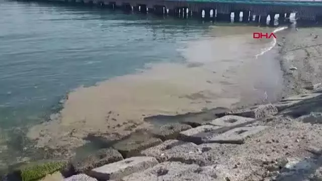 Deniz salyası Tekirdağ'da yeniden ortaya çıktı Deniz salyası Tekirdağ'da yeniden ortaya çıktı