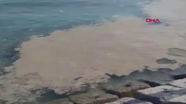 Deniz salyası Tekirdağ'da yeniden ortaya çıktı Deniz salyası Tekirdağ'da yeniden ortaya çıktı