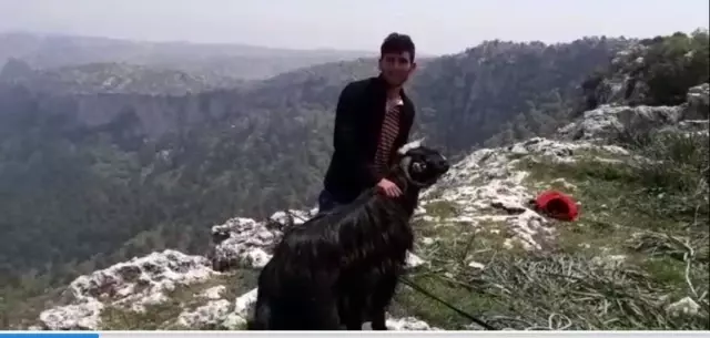 Uçurumda mahsur kalan keçiyi AKUT gönüllüleri kurtardı Uçurumda mahsur kalan keçiyi AKUT gönüllüleri kurtardı