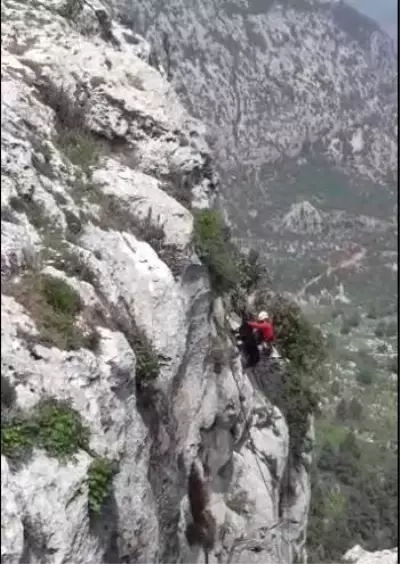 Uçurumda mahsur kalan keçiyi AKUT gönüllüleri kurtardı Uçurumda mahsur kalan keçiyi AKUT gönüllüleri kurtardı