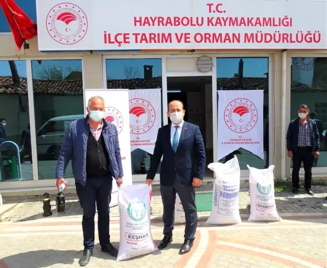 Üreticilere tohum desteği Üreticilere tohum desteği