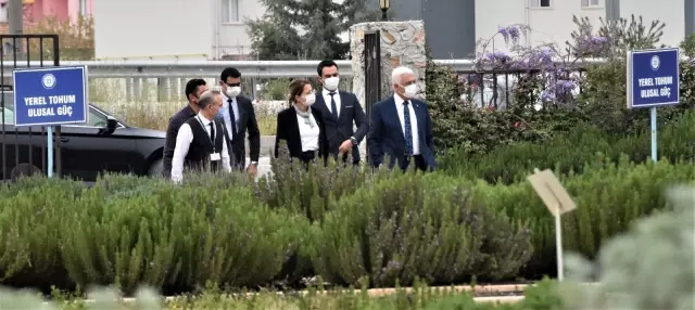 Yerel tohumlar toprakla buluştu Yerel tohumlar toprakla buluştu