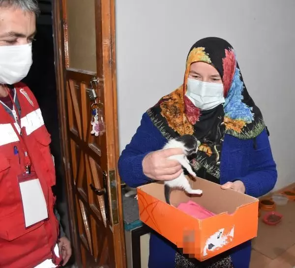 Aç kalan yavruyu, anne kediye Vefa Sosyal Destek ekibi götürdü Aç kalan yavruyu, anne kediye Vefa Sosyal Destek ekibi götürdü