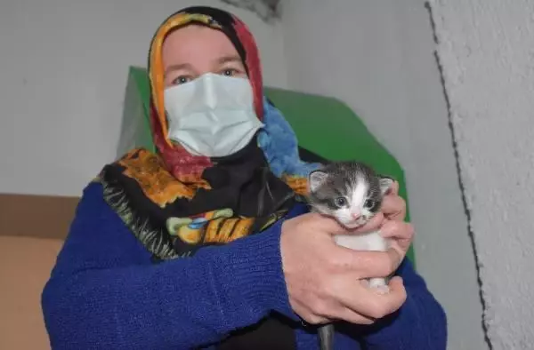 Aç kalan yavruyu, anne kediye Vefa Sosyal Destek ekibi götürdü Aç kalan yavruyu, anne kediye Vefa Sosyal Destek ekibi götürdü