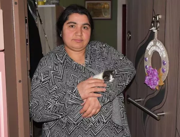 Aç kalan yavruyu, anne kediye Vefa Sosyal Destek ekibi götürdü Aç kalan yavruyu, anne kediye Vefa Sosyal Destek ekibi götürdü