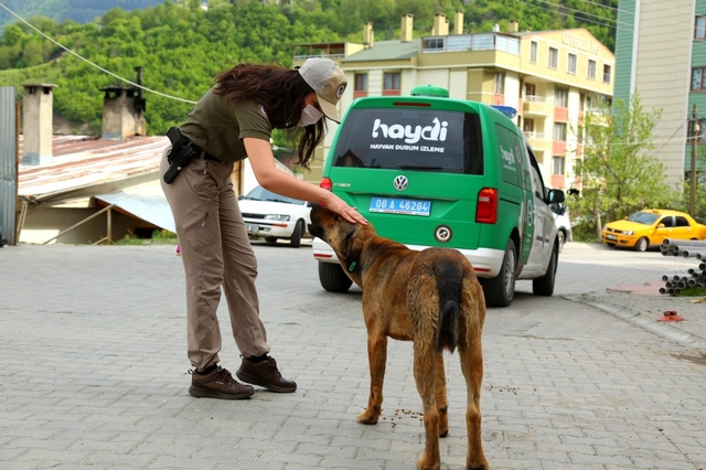 Artvin'de 'tam kapanma' sürecinde sokak hayvanlarına polis ekiplerinden şefkat eli Artvin'de 'tam kapanma' sürecinde sokak hayvanlarına polis ekiplerinden şefkat eli